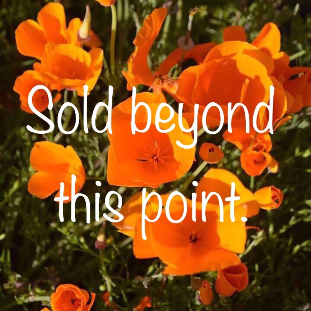 Everything sold beyond this point.